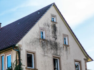 Maison avec taches noires; Advalidem; Rénovation énergétique; Audit énergétique