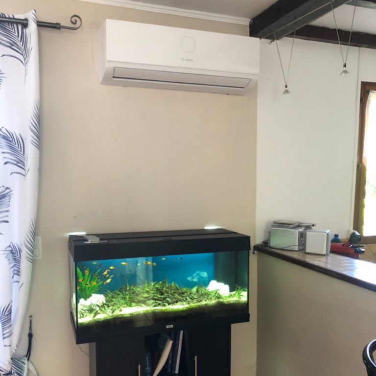 Balise alt : "Aqua-terra dans un intérieur moderne, rénové à Toulouse, Occitanie."