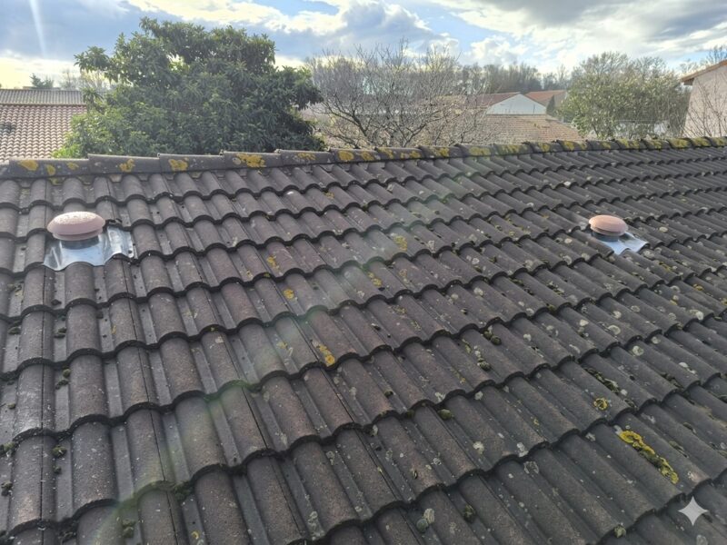 Toiture avec traitement de rénovation énergétique AD VALIDEM, tuiles vieillissantes.